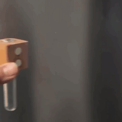 Turn your fridge into a summer flower wall in seconds
