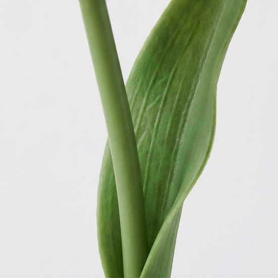 Bloomora – LED Tulip Lamp with Ceramic Vase