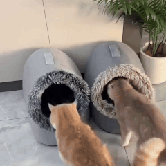Your pet’s cozy hideaway from winter’s bite