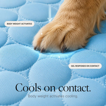 One of our most reordered summer pet picks.