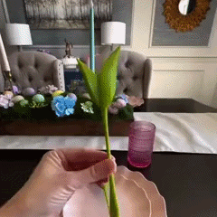 مناديلك أصبحت الآن محور الاهتمام