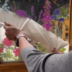 Your windows are about to bloom