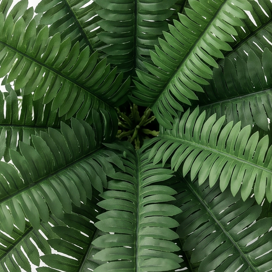 Fernly – Realistic Artificial Boston Fern
