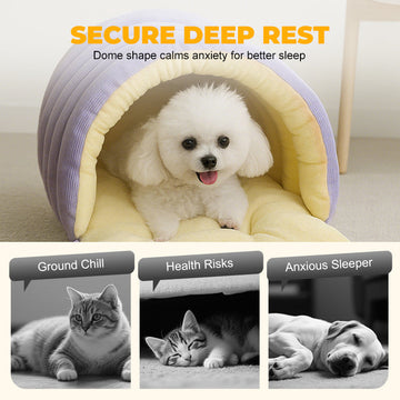 Loved by cats. Approved by cat moms.